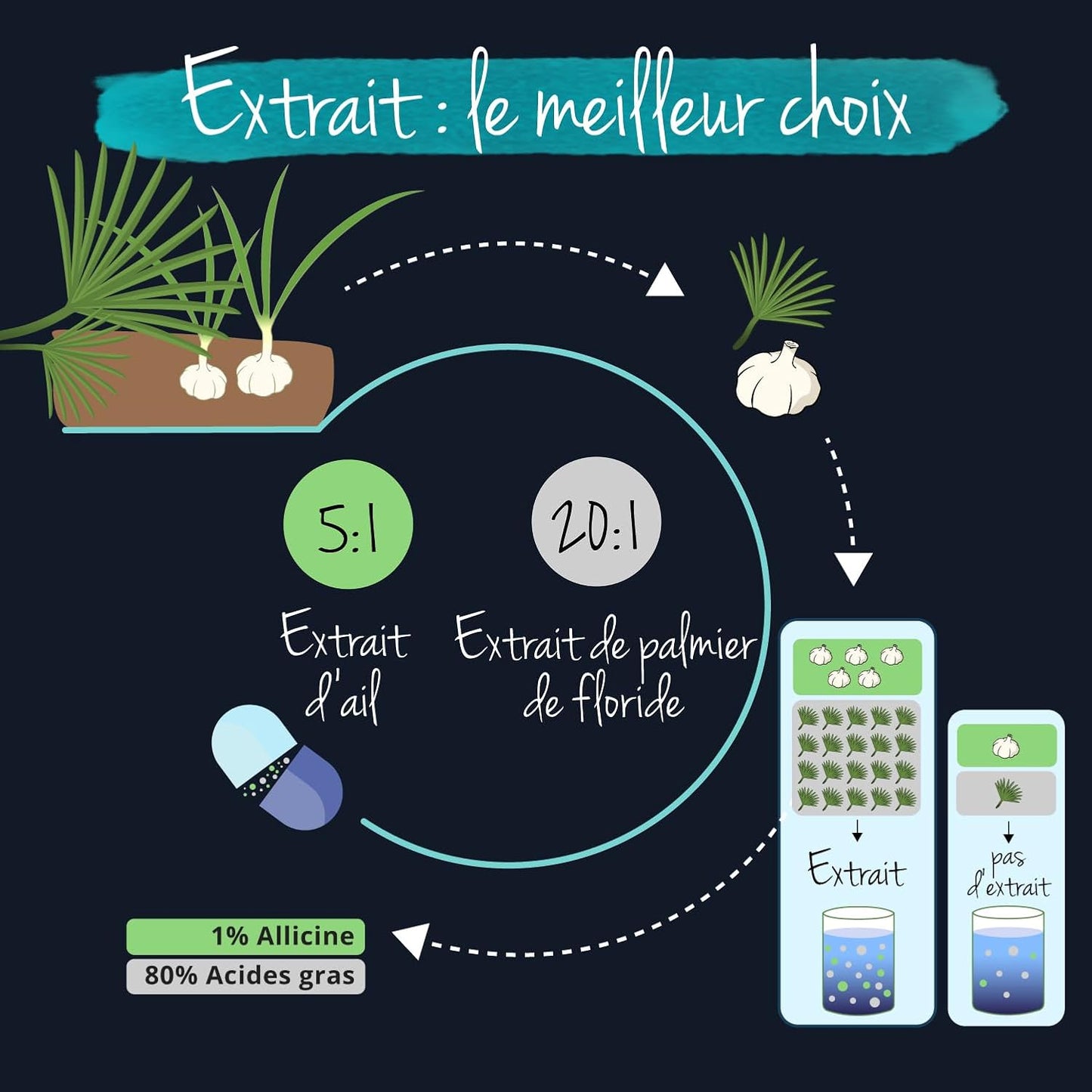 Multivitamines Et Minéraux Pour HOMME | Prostate + Santé Cardiaque | SANS ADDITIFS | Extrait Ail + Saw Palmetto | Avec 17 Mineraux + Vitamines | VEGAN | 60 Gélules | ®