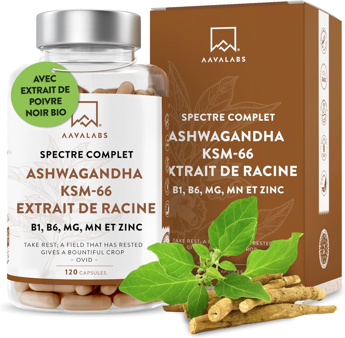 Ashwagandha KSM-66 1000Mg, Vitamine B6, Vitamine B1, Zinc, Magnesium, Manganese - Extrait De Racine Ashwagandha, Bio Poivre Noir - Ashwaganda (Ginseng Indien) Extra Fort 5% Withanolides - 120 Gélules